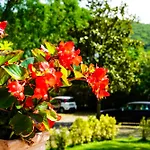 Apart-hotel Bottacin 4*
